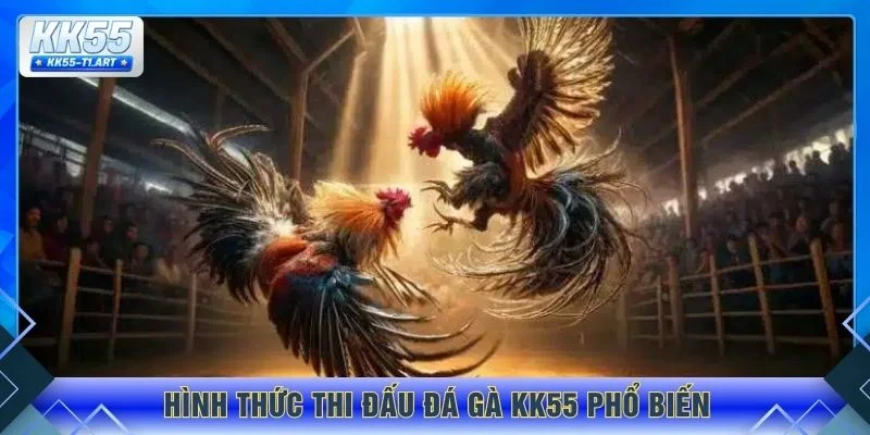 Hình thức thi đấu đá gà KK55 phổ biến